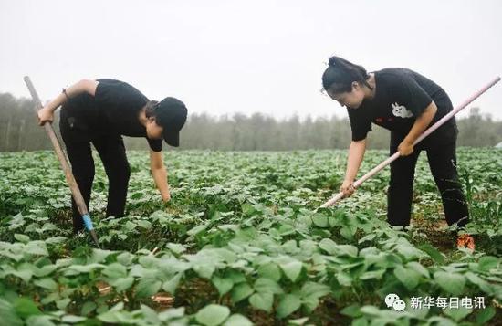 色达天气介绍