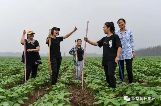 荔浦天气预报介绍