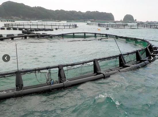 欧洲天气预报查询评测2