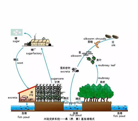 隆昌天气介绍