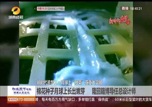 7天天气预报查询评测1