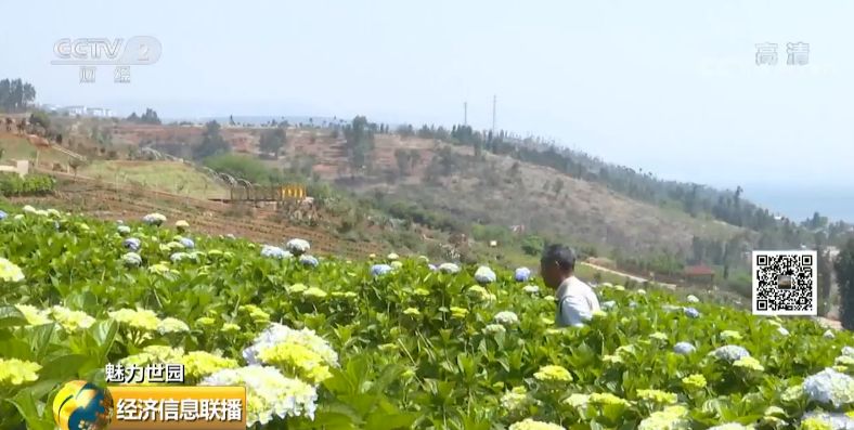 台前天气预报评测1