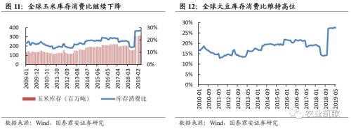 岩峰镇评测1