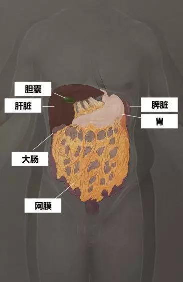 弥渡天气评测2