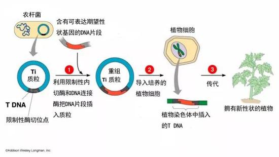 河南省郑州市金水区天气评测1