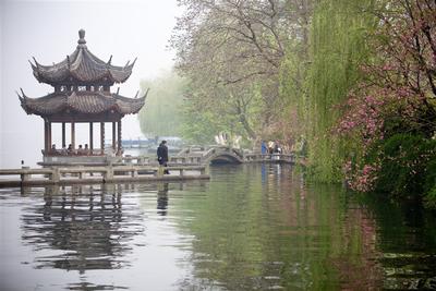 乐清市天气预报评测1