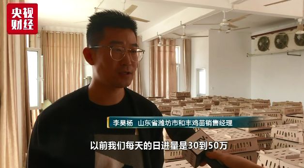 玉环天气介绍