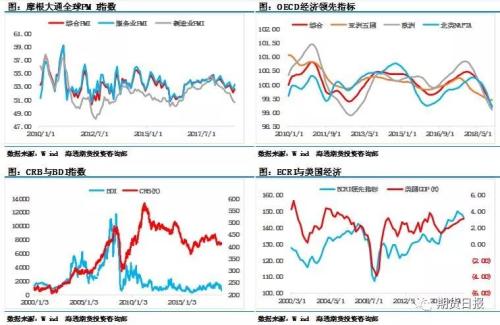 锦母角评测1