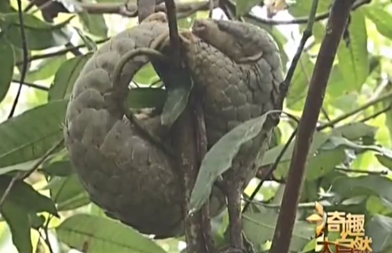 温州天气2345介绍